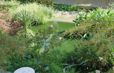 TULIPE - Spacieux appart 105 m2 -3 Ch - PARIS EXPO - CACHAN - Foto 35