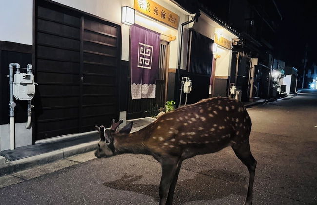 Nara-Ryokan Villa West - Foto 21