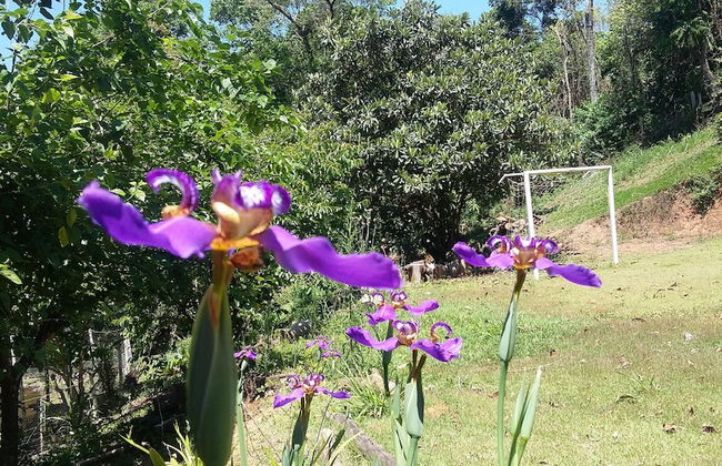 Chácara do Alemão - Recanto Jd.Silvestre - Foto 26