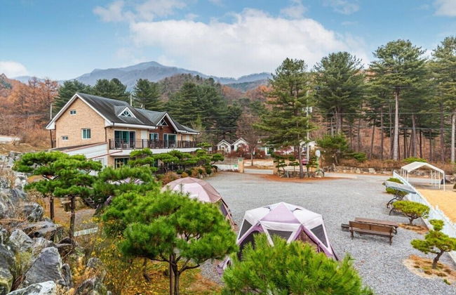 Dorothy's Forest Pension - Foto 78