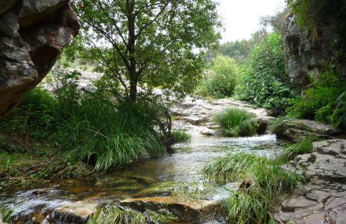 A Velha Casa - Foto 16