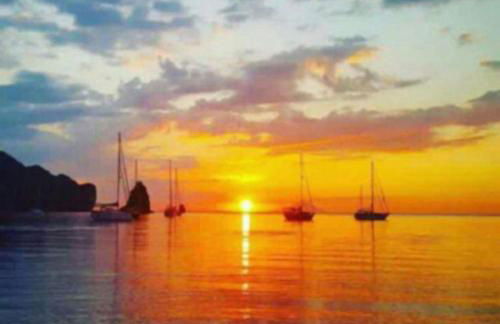 Garden & Sea - Foto 53