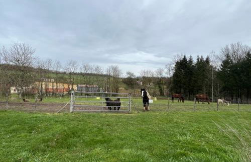 Le Hameau du Peu - Foto 43