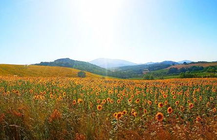 Residenza storica con vista panoramica - Foto 22