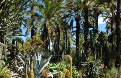 Apartment Bellavista 36 Cabo Roig - Photo 22