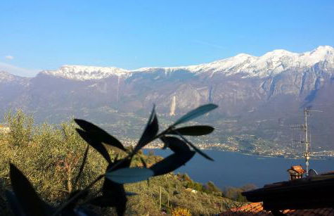 Ulivi sul Garda Garden by Gardadomusmea - Photo 54