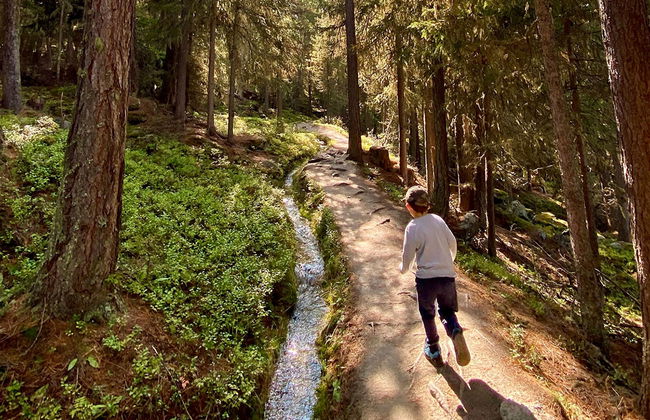 Chalet Jungtalblick Chilcheri - Foto 25