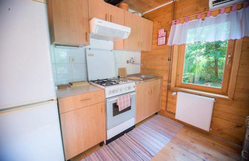 Cabin In The Woods Vukelic - Photo 11