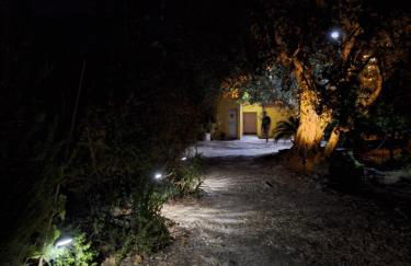 Casa Vacanze Geppy e Minù Gole Alcantara - Foto 38