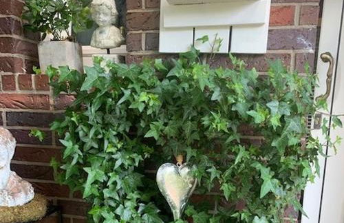 Ferienwohnungen Lemma - Foto 1