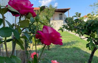 Carefree Dreams : Cottage in Flogita Chalkidiki - Foto 12