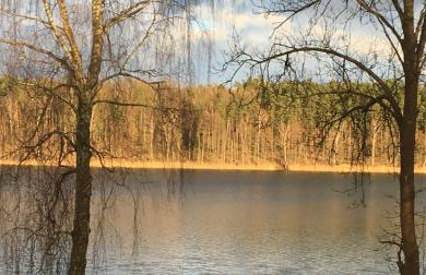 Wikno 3 Woda i Las - Foto 25