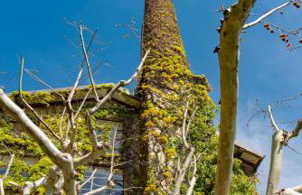 La Filanda - The House Of Travelers - Foto 21