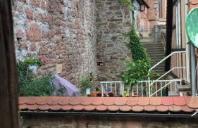 Natur und Neckarblick bei Heidelberg - Photo 60