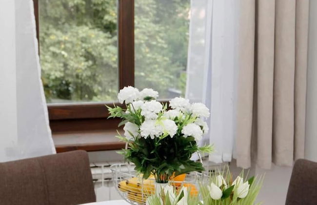 Victorian Apartment Sarajevo - Foto 9