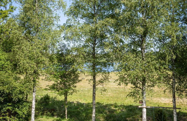 Vänneböke - Foto 29