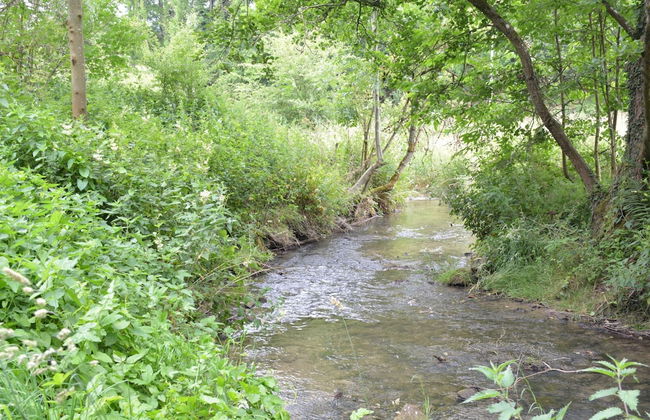 Railway Stay in Ardennes - Foto 27