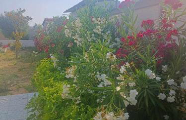 New Olivka House - Foto 38