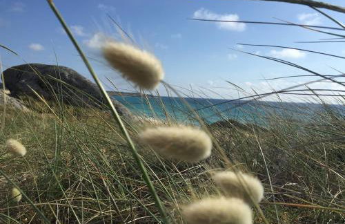 CAROLA l, "apartamento de lujo a 100m playa Catia" - Foto 1