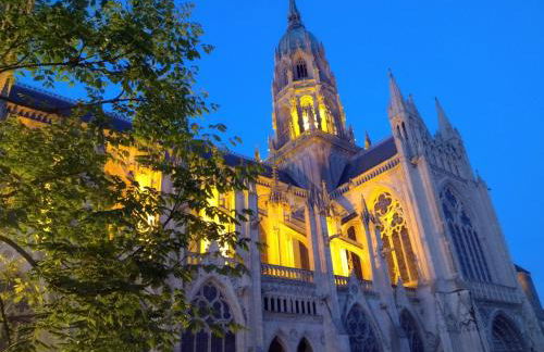 Gîte "Au P'tit Tourois" de plain-pied tout confort avec véranda proche d'Omaha Beach et de Bayeux accueillant les animaux - Foto 59