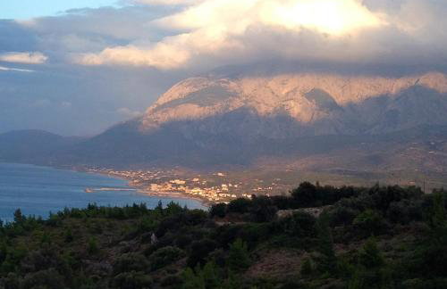 Jimmy's Place - Photo 74