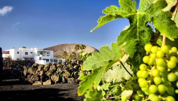 Finca La Florida - Foto 5