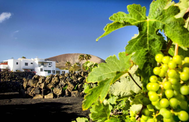 Finca La Florida - Foto 5