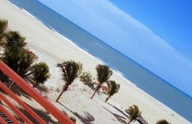 MelBliss Gostoso - Foto 43