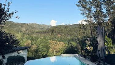 Streliciahouse - Foto 5