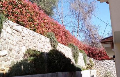 Apartment Ivy2 - Foto 33