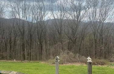 Mountain Top Retreat Shenandoah - Foto 14