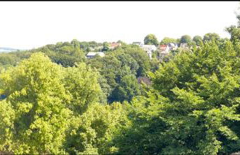 2-Zimmer Wohnung an der Lindenstraße - Foto 10