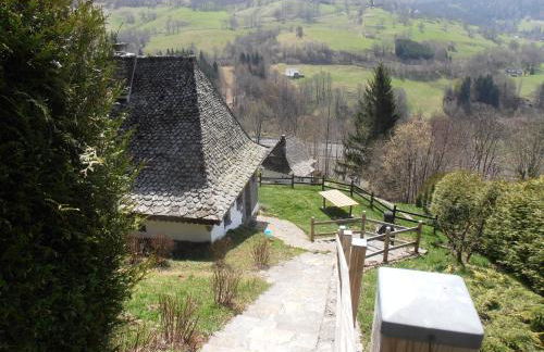 Chalet avec vue panoramique sur le Plomb du Cantal - Foto 32