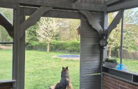 LandOase Buchhorst - Photo 36