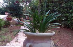 VILLA TREROSE by Trerose Properties - Villa centrale con wi-fi e posto auto privato gratuiti - Foto 8