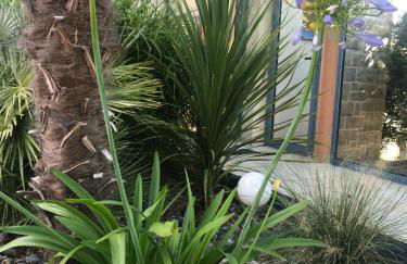 Les Palmiers - Foto 40