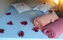 Pousada Suçuarana - Photo 47