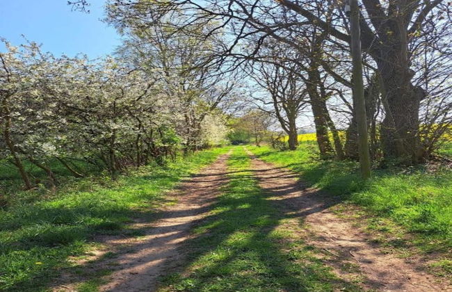 Wohnung in Satow mit Garten - Foto 54