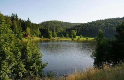 Quaint Apartment in Hüttenthal with Garden - Foto 64