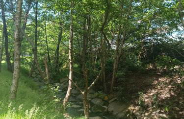 Bermeo y Urdaibai - PARKING-Ascensor - WIFi - tranquilo - Foto 24