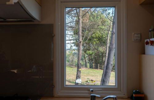 Glamping Frog Farm - Foto 52