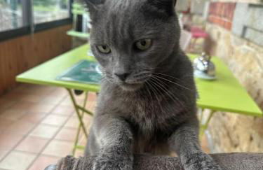 La Petite Ecole de la Baie - Foto 35