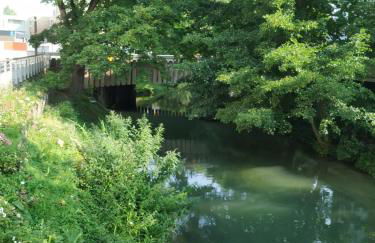 ZEN T1, 400m centre et lycée Bayen, 1400m gare tout confort - Foto 19
