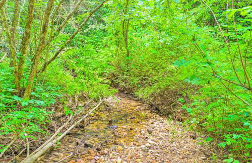 Spacious Family Home Near Hiking and Breweries! - Foto 37