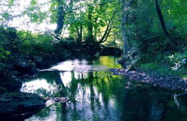 La madriguera azul - Foto 26