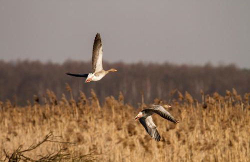 Cascina Borgofrancone - Foto 52