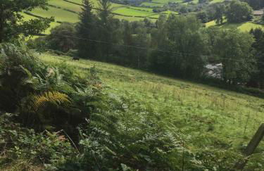 Pretty sunny cottage, Machynlleth - Photo 39
