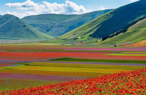 tramonto - Parcheggio gratis, fronte caserma e clima - Photo 17