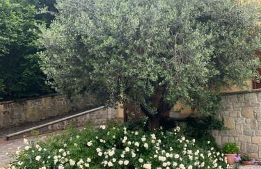 Borgo La Morra - Photo 71