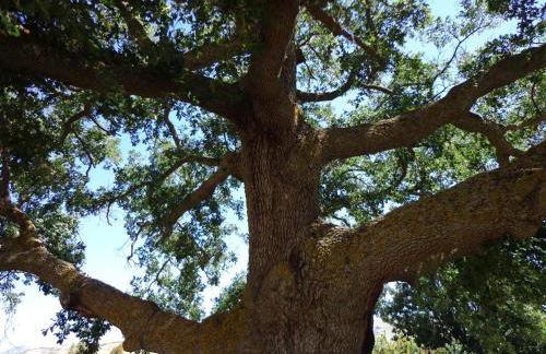 Agriturismo San Pietro - Foto 45